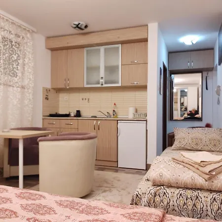 Kitanovic 2 Lägenhet Vrnjačka Banja